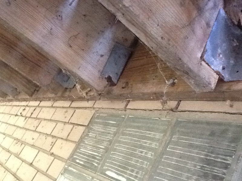 Deck Repair Gallery — real project photo by Supreme Deck Builders, Southeast Michigan