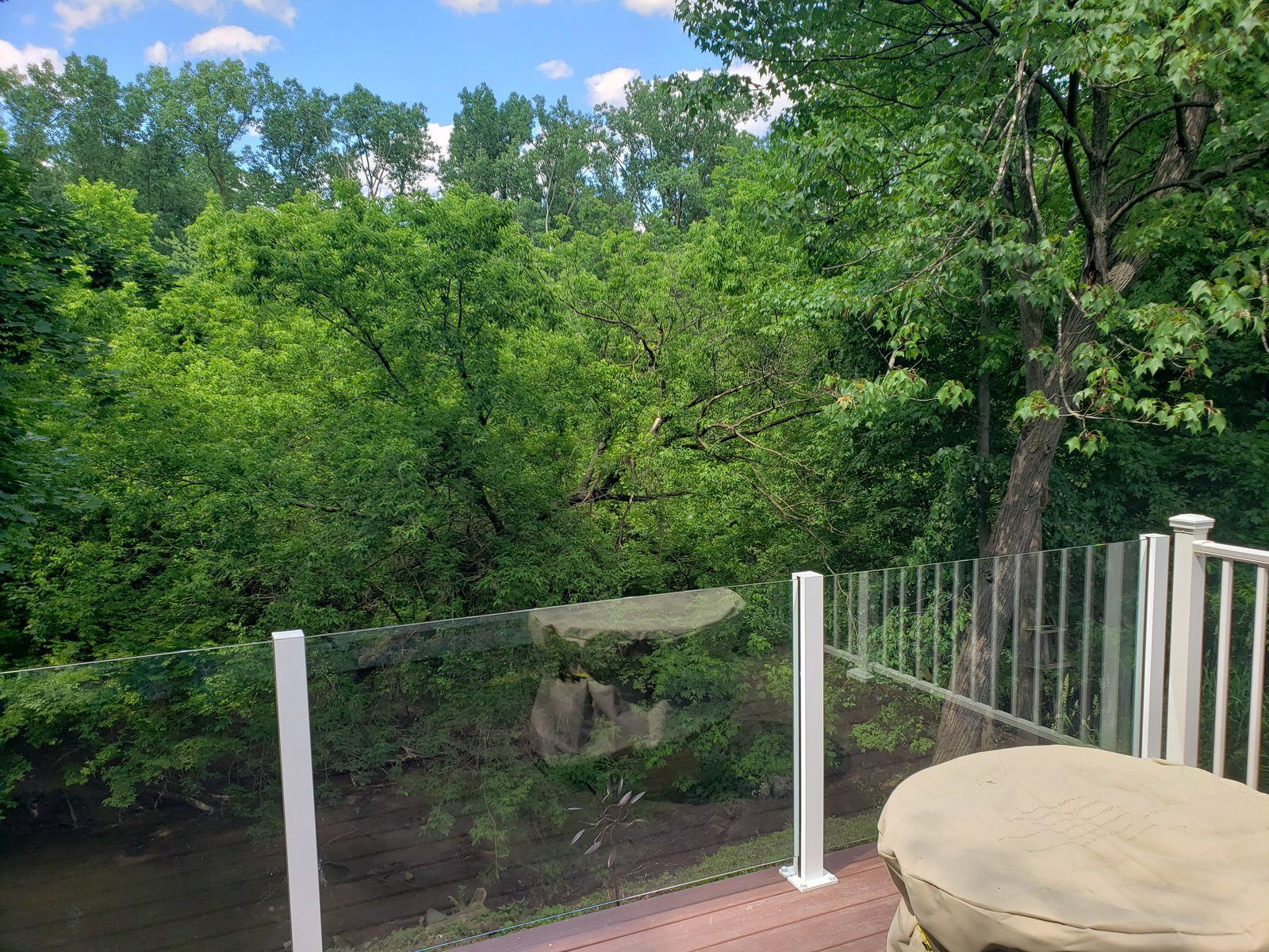 Falcon Topless Glass Rails — real project photo by Supreme Deck Builders, Southeast Michigan