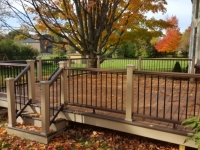 Trex fall job Shelby Township